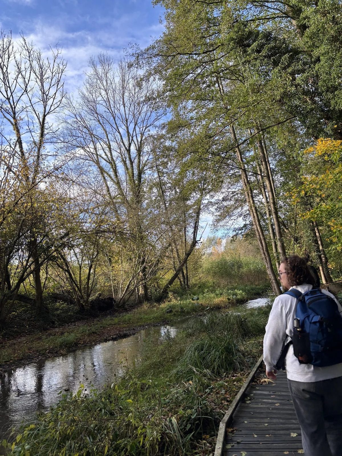 Un randonneur sac au dos avance sur un platelage de bois le long d'un ruisseau bordé d'arbres d'automne