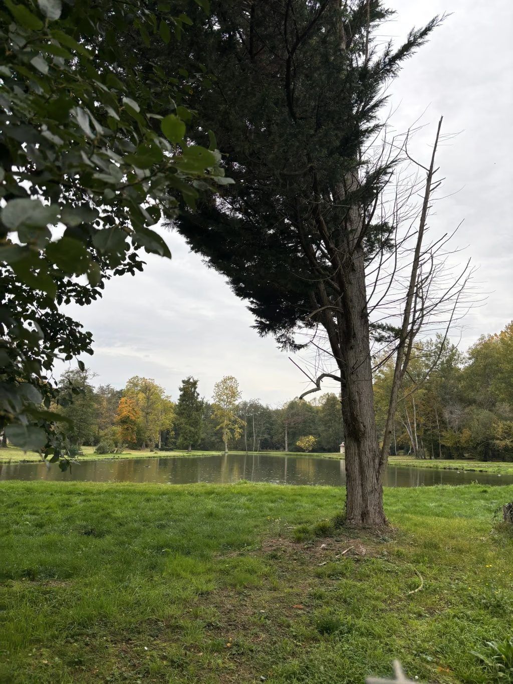 Les étangs de Milon-la-Chapelle sous la brume d'automne